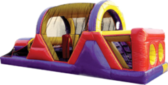 Giant Slides and Obstacle Course 