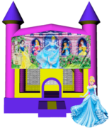 Disney Princess Castle 13x13 Fun House 
