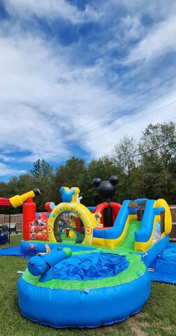 Mickey Bouncer