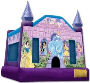 Disney Princess Castle