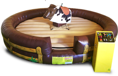 Mechanical Bull