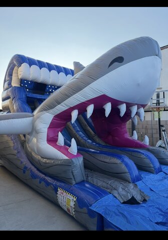 Jaws Jaws