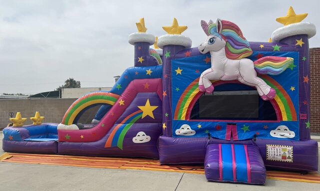 Dual Magical Unicorn Wet/Dry Combo Dual Magical Unicorn Wet/Dry Combo