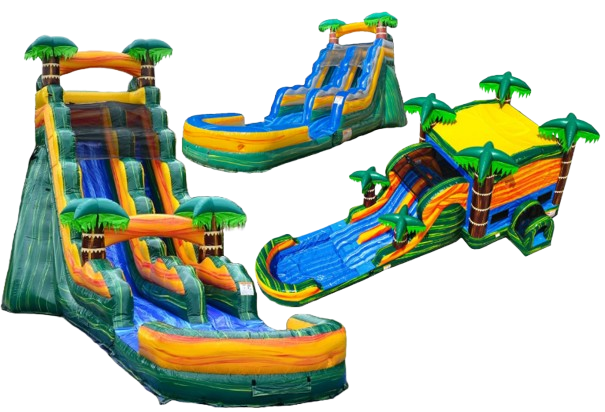 Cali Palm Party Extra Large Cali Palm Party Extra Large