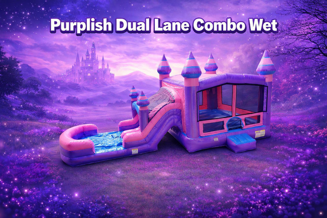 Purplish Dual Lane Combo Water Slide Purplish Dual Lane Combo Water Slide
