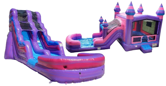 Purplish Party Large Purplish Party Large
