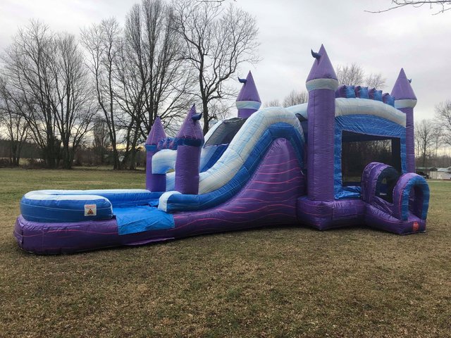 Purple Ice Palace Wet or Dry Combo Purple Ice Palace Wet or Dry Combo