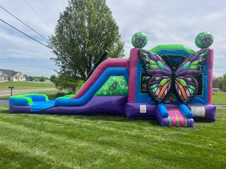 Beautiful Butterfly Double Lane Combo - Wet or Dry