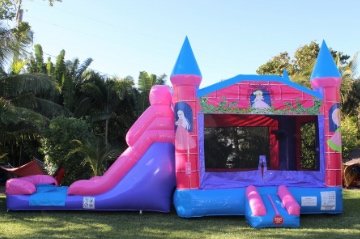 Wet or Dry Princess Double Lane Combo & Concession Machine Wet or Dry Princess Double Lane Combo & Concession Machine