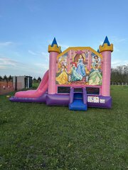 Disney Princess Combo (DRY ONLY)
