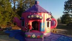 THE LITTLE TEA POT