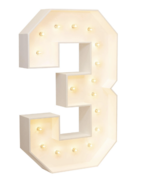 4 FT MARQUEE NUMBER- 3