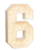 4 FT MARQUEE NUMBER- 6