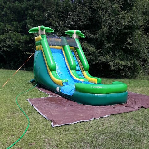 Palm Tree Water Slide Inflated Bottom Palm Tree Water Slide Inflated Bottom