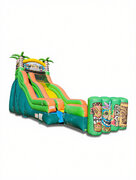 Slides Slides