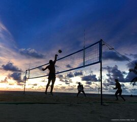 Volley Ball Net