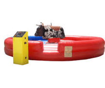Mechanical Bull Rentals Mechanical Bull Rentals