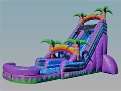 Rainbow Tropics Wet