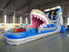 Shark Attach
