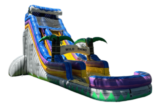 24ft Wild Thing