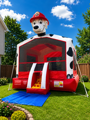 Dalmatian Bouncer (Large) Dalmatian Bouncer (Large)