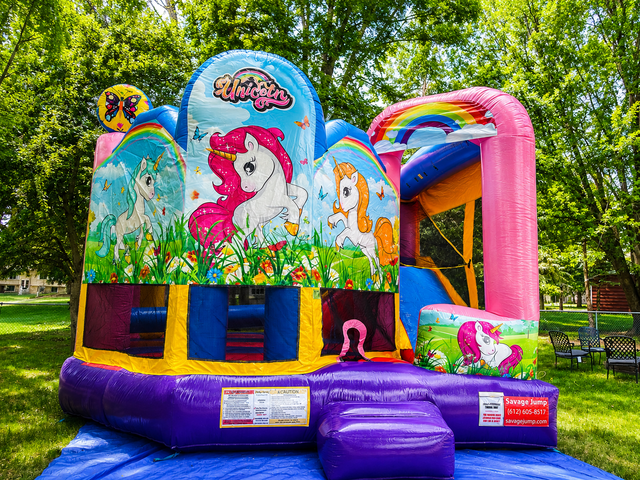Unicorn With slide Wet/DRY Rental Unicorn With slide Wet/DRY Rental