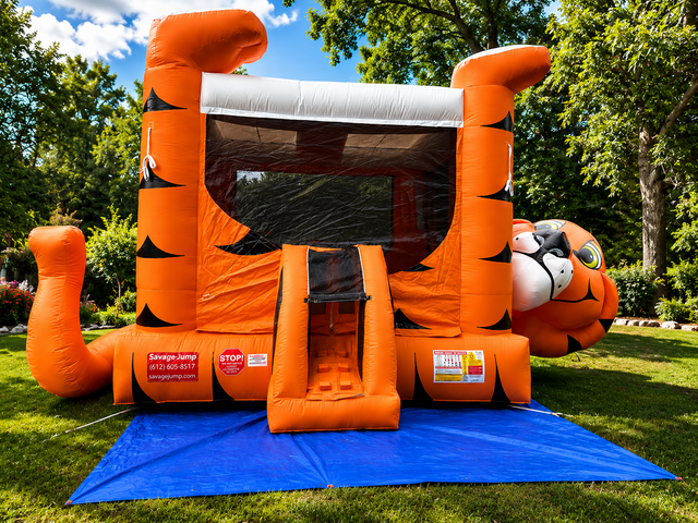 16 X 25 Tiger Belly Bouncer 16 X 25 Tiger Belly Bouncer