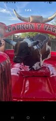 Brandon The Bull