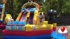 14ft Mickey Slide 14ft Mickey Slide