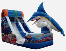 16ft Surf N Turf Waterslide 16ft Surf N Turf Waterslide