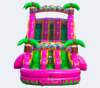 Flamingo Falls - 18ft Dual Lane Slide