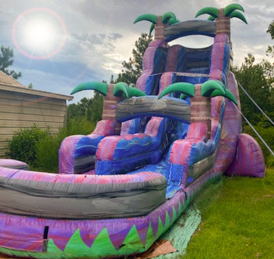 Purple Paradise 22ft slide wet or dry Purple Paradise 22ft slide wet or dry