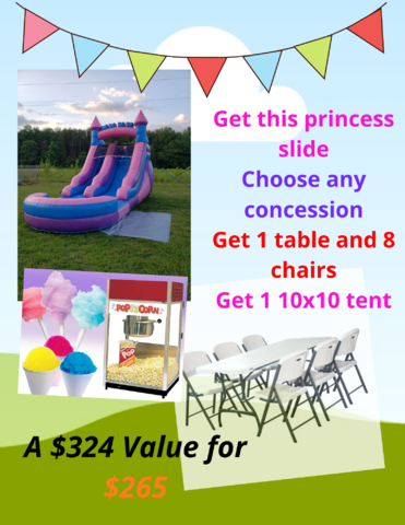 princess slide party package princess slide party package