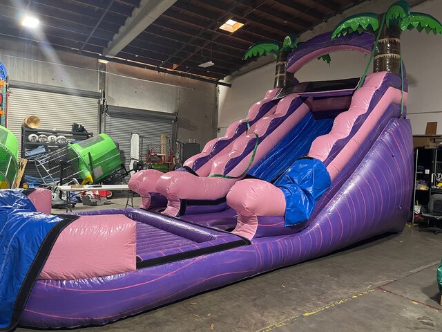 Purple Splash Inflatable Water Slide