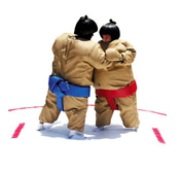 Sumo Wrestling Suits with Foam Mat