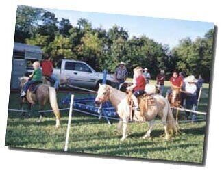 8 Pony Carousel 8 Pony Carousel
