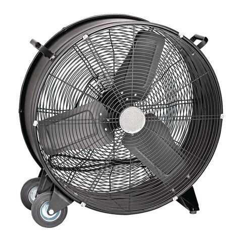 Fan Fan