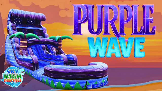 20ft Purple Wave Double Slide 20ft Purple Wave Double Slide