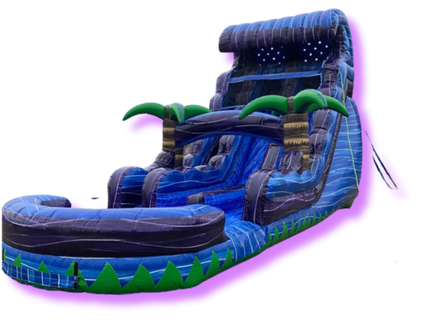 20ft Purple Wave Double Slide