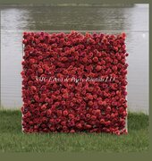Backdrops Backdrops