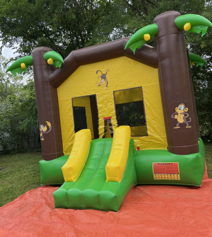 Green and Yellow Bouncer Green and Yellow Bouncer