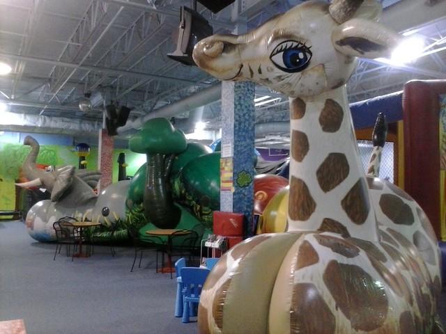 Jungle Maze Jungle Maze
