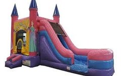 A princess Combo Wet/Dry Slide A princess Combo Wet/Dry Slide