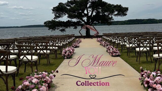 I Mauve You Collection I Mauve You Collection