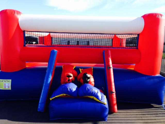ASJ - Giant Boxing and Boxing Ring ASJ - Giant Boxing and Boxing Ring