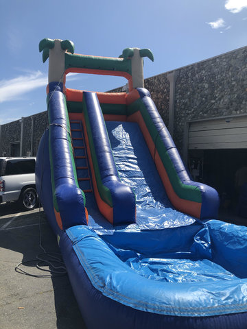 ASJ- 18 ft Palm Tree Slide WET ASJ- 18 ft Palm Tree Slide WET