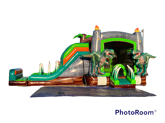 Dinosaur Bounce House WET\DRY slide