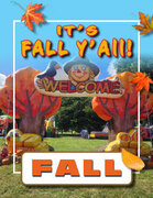 Fall Fall
