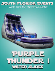 Purple Thunder I