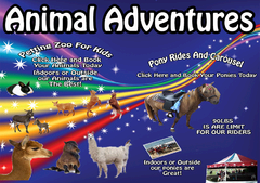 Live Animal Shows & Rides Live Animal Shows & Rides